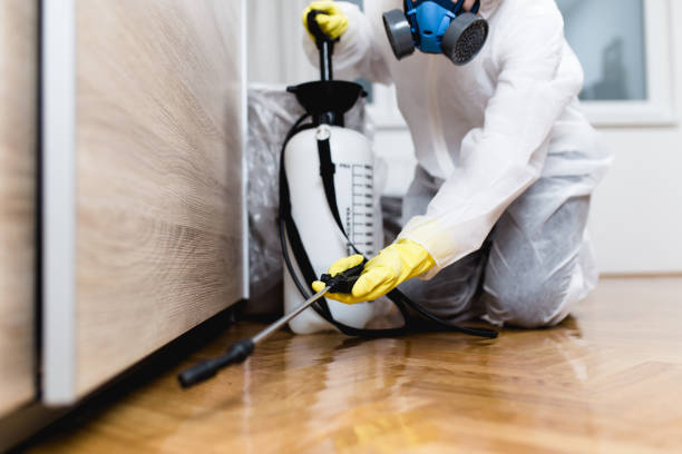 Best Mosquito Control Services  in New Rockford, ND