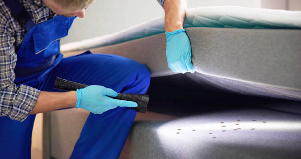 Best Best Pest Control Companies  in New Rockford, ND