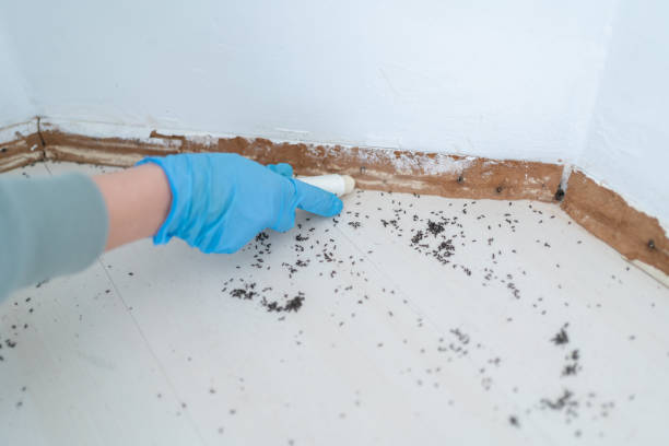 Best Commercial Pest Control Services  in New Rockford, ND